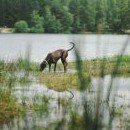 Trénovali jsme hlavně vodu, protože terény jsou tu úžasné